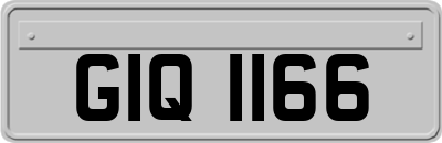 GIQ1166