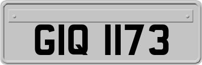 GIQ1173