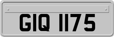 GIQ1175
