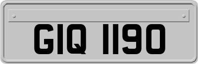 GIQ1190