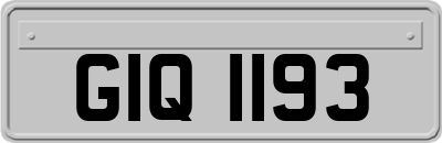 GIQ1193