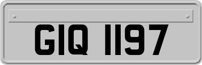 GIQ1197