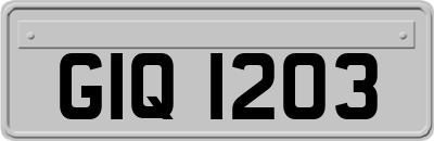 GIQ1203