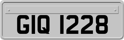 GIQ1228