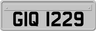 GIQ1229