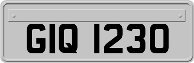 GIQ1230