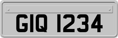 GIQ1234
