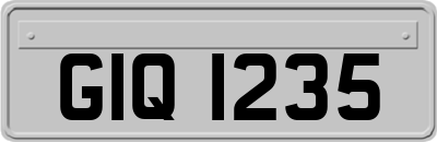 GIQ1235