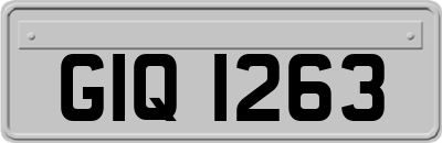 GIQ1263