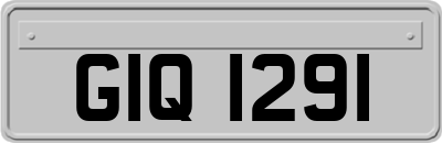 GIQ1291