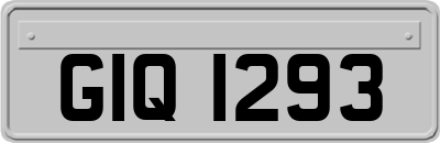 GIQ1293