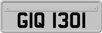 GIQ1301