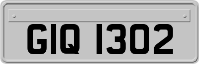GIQ1302