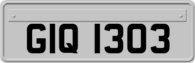 GIQ1303