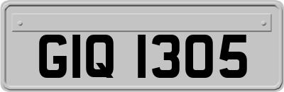 GIQ1305