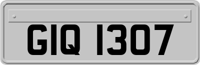 GIQ1307