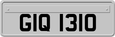 GIQ1310