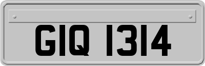 GIQ1314