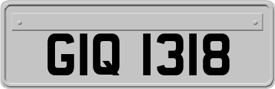 GIQ1318