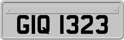GIQ1323