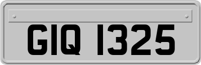 GIQ1325
