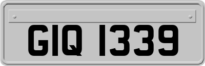 GIQ1339