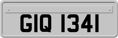 GIQ1341
