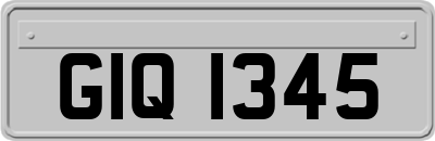 GIQ1345