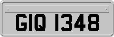GIQ1348