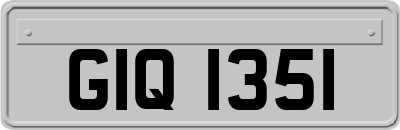 GIQ1351
