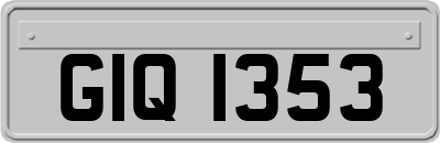 GIQ1353