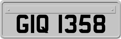 GIQ1358