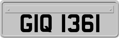 GIQ1361