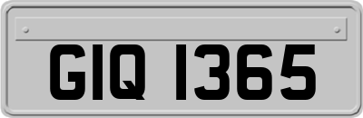 GIQ1365