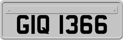 GIQ1366