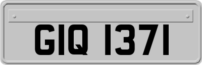 GIQ1371