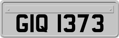 GIQ1373
