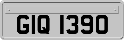 GIQ1390