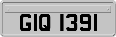 GIQ1391