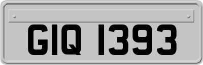 GIQ1393