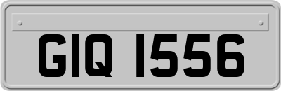 GIQ1556