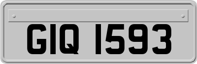 GIQ1593