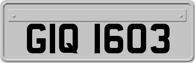 GIQ1603