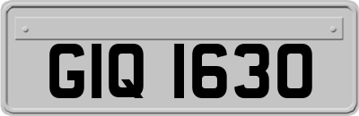 GIQ1630