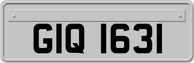 GIQ1631