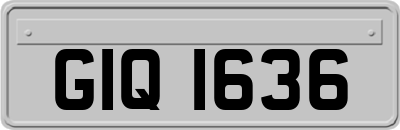 GIQ1636