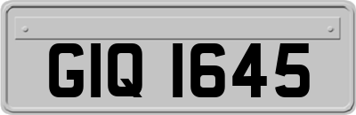 GIQ1645