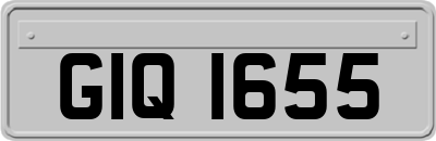 GIQ1655