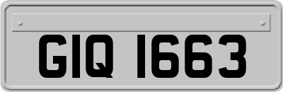 GIQ1663