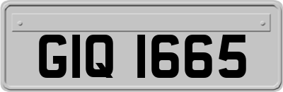 GIQ1665
